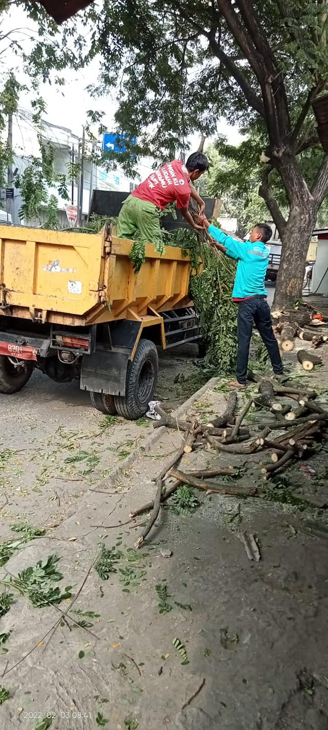 DLH Kota Serang melakukan penebangan pohon yang melewati batas di Bank BJB KCP RAU