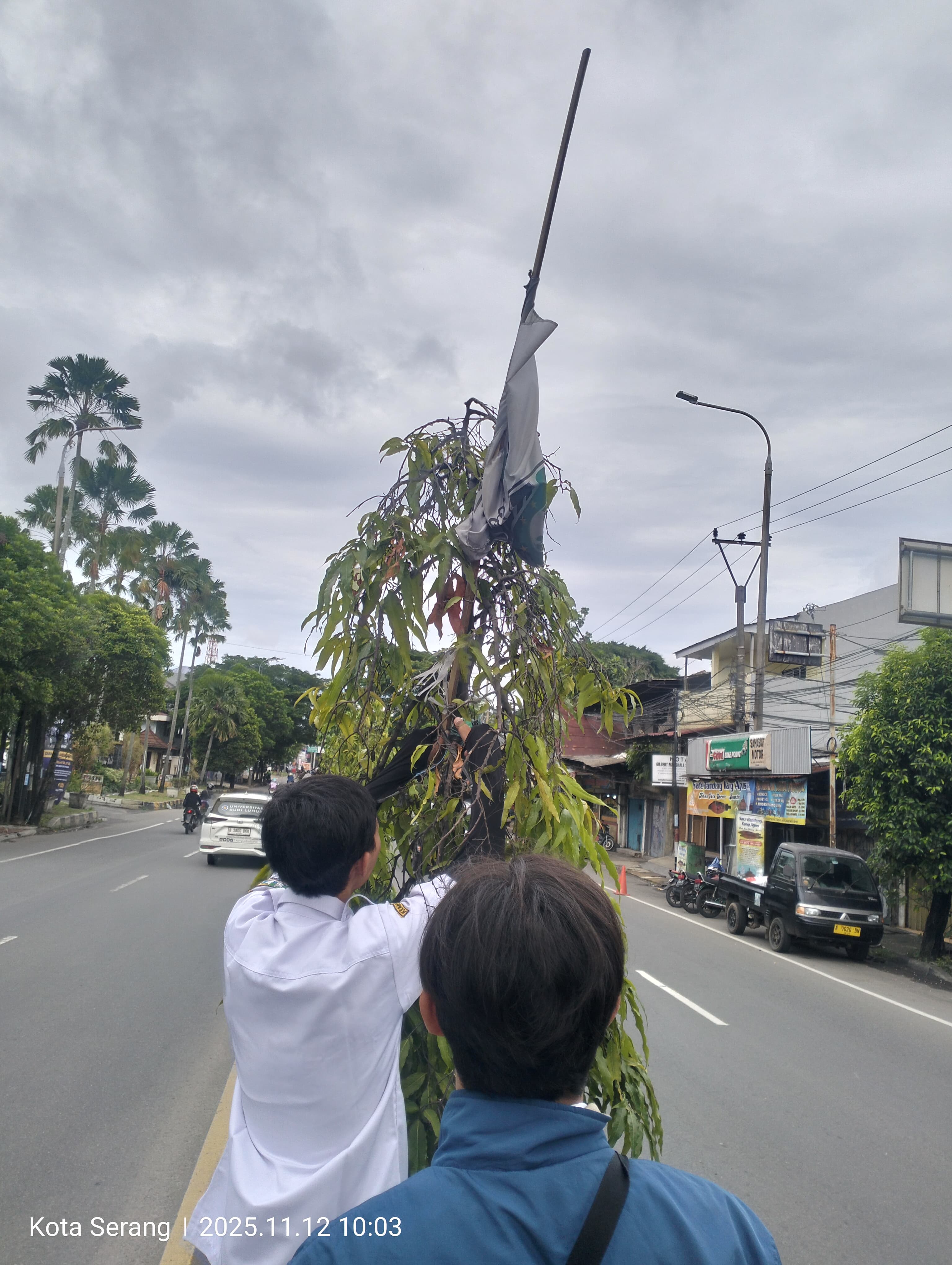 DLH Kota Serang Lakukan Pemeliharaan Pohon dengan Cara Mencabut Banner dan Bendera Lembaga di Sepanjang Jalan Protokol