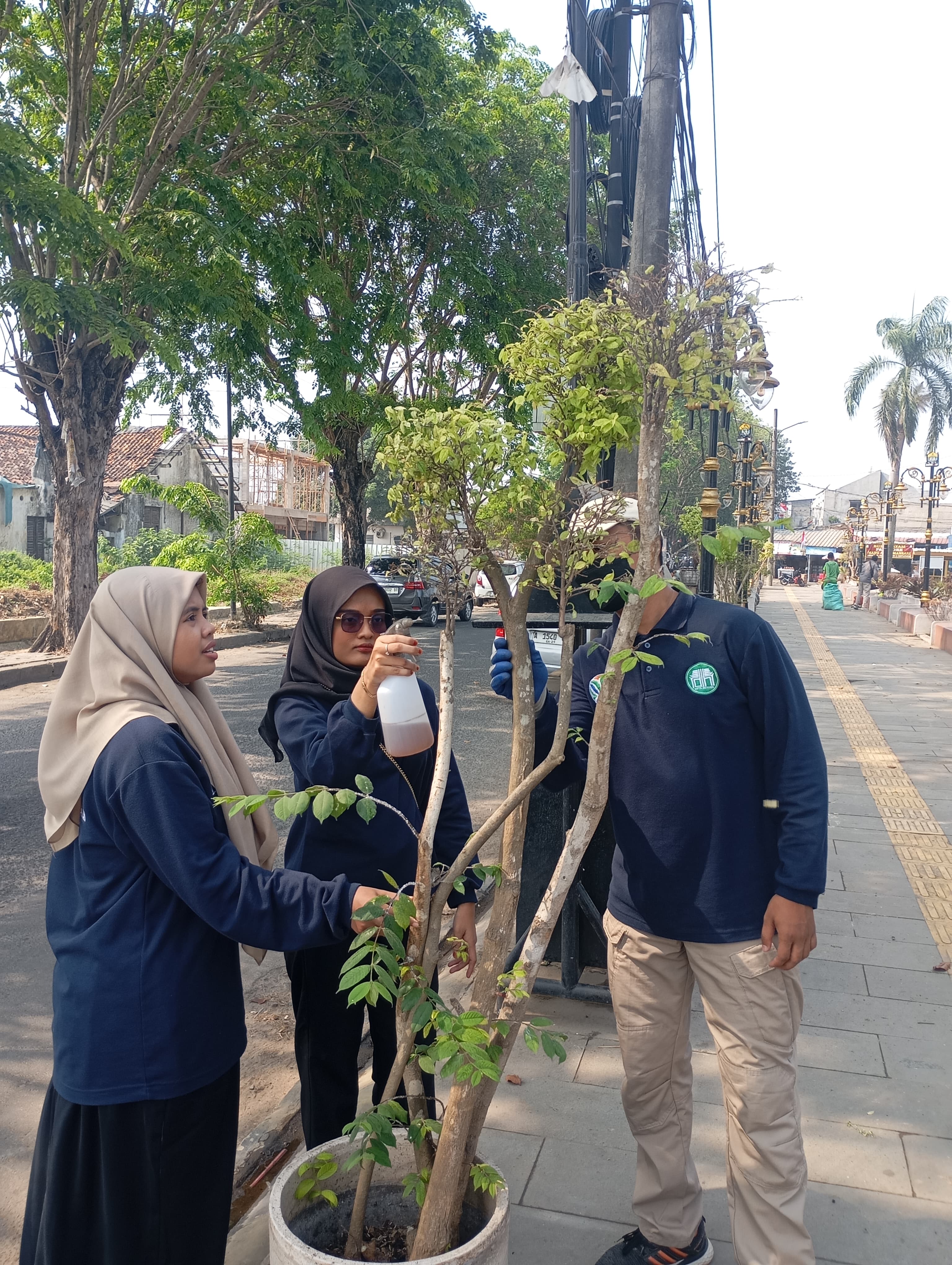 DLH Kota Serang Lakukan Penyemprotan Insektisida Ramah Lingkungan pada Tanaman di Kawasan Taman Sari