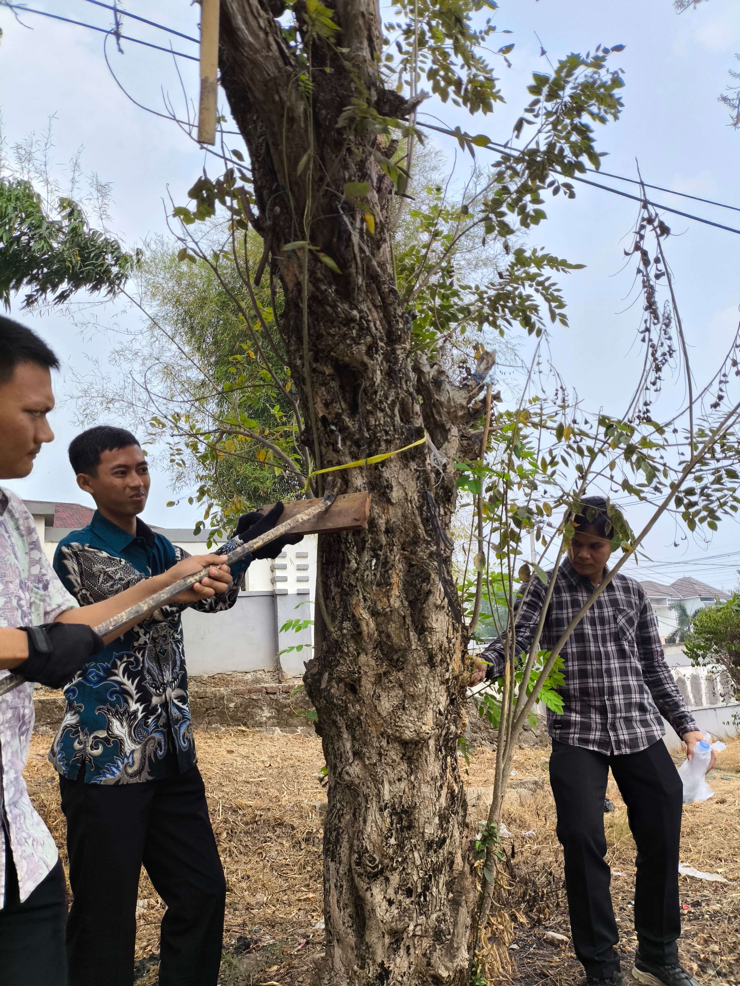DLH Kota Serang Copot Paku Bekas Pemasangan Banner dan Spanduk pada Pohon