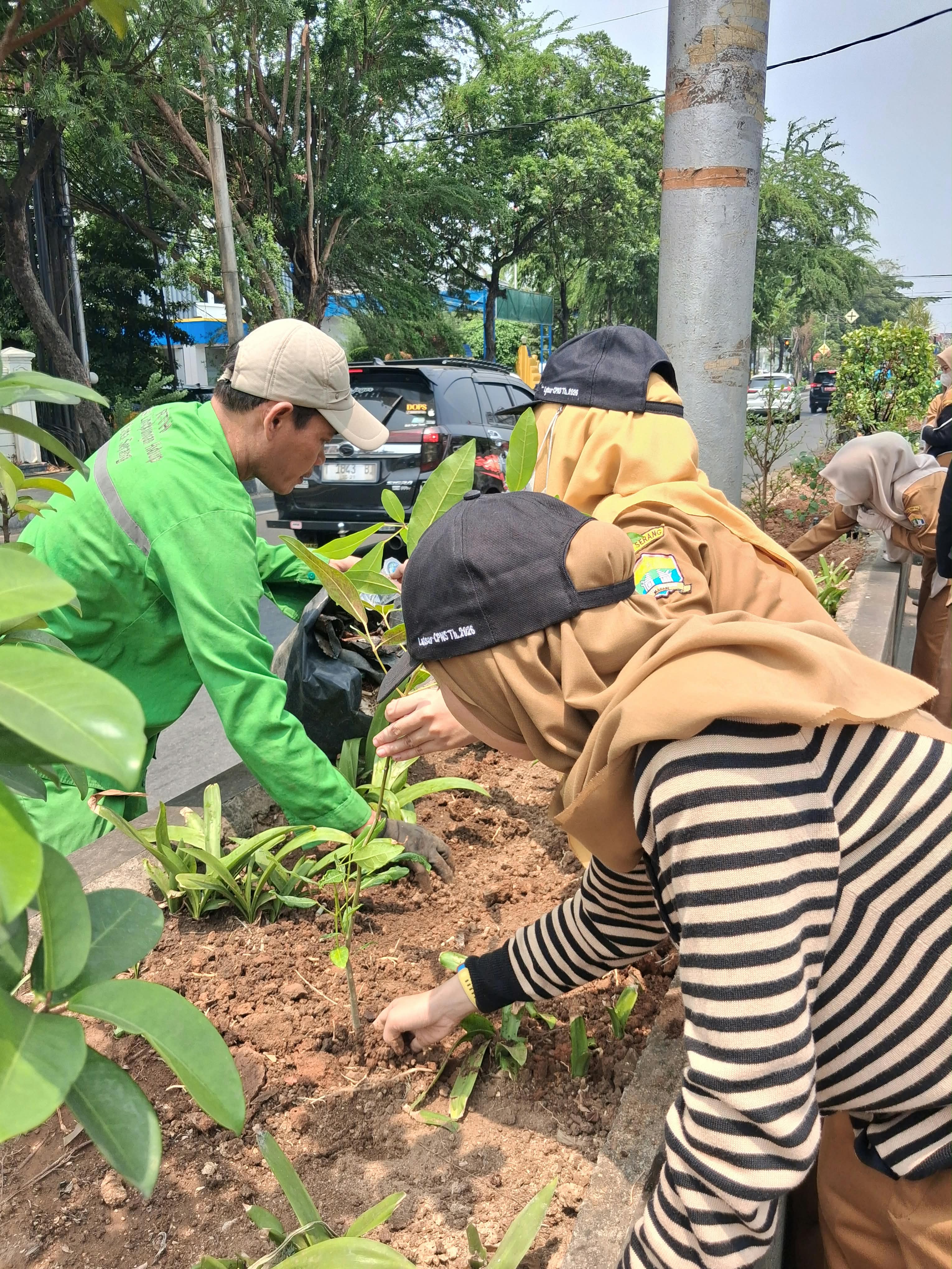 DLH Kota Serang Lakukan Penanaman Bibit Pohon di Median Jalan Protokol