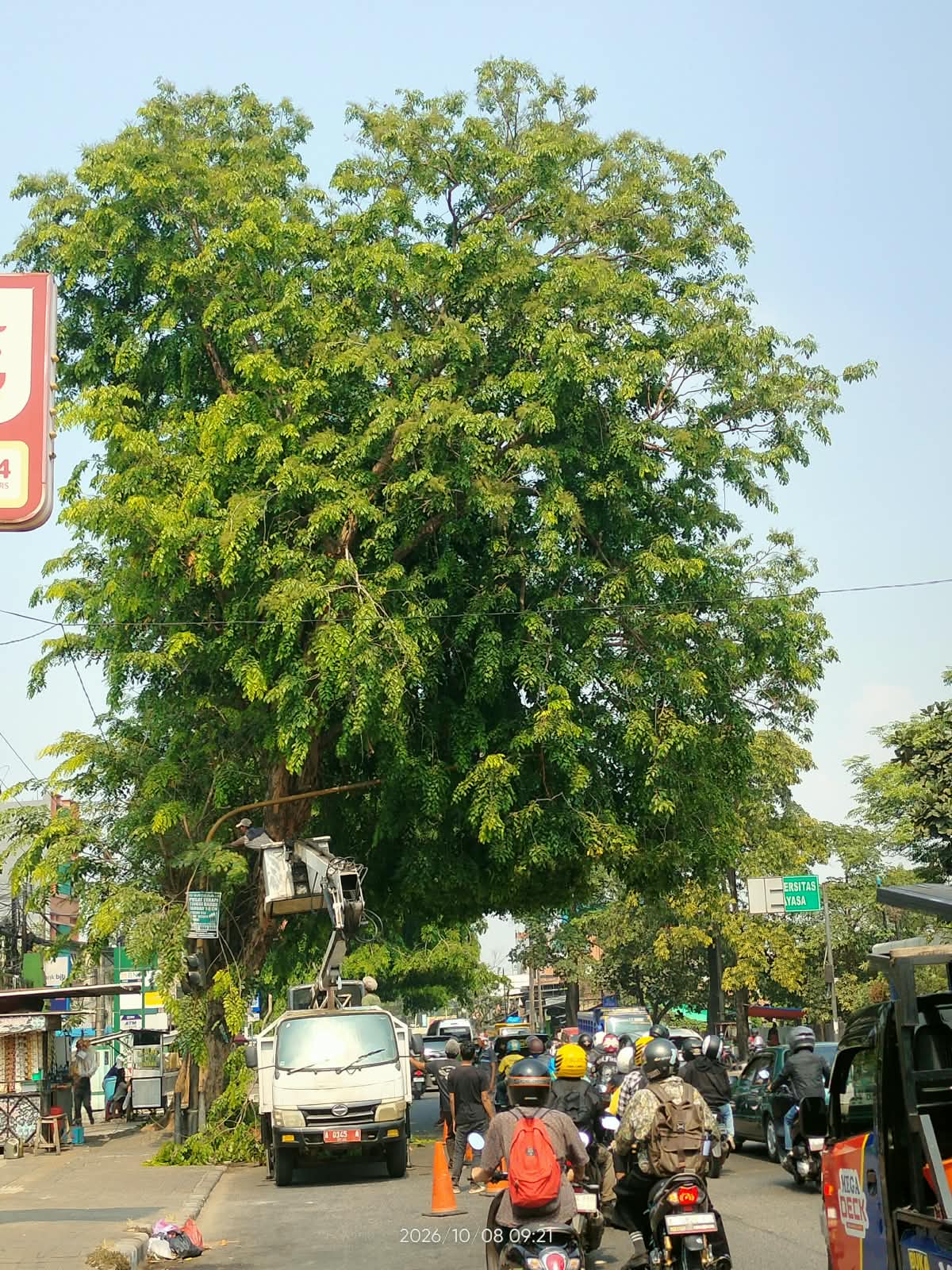 DLH Kota Serang Lakukan Pemangkasan Pohon di Jalan Raya Serang-Jakarta