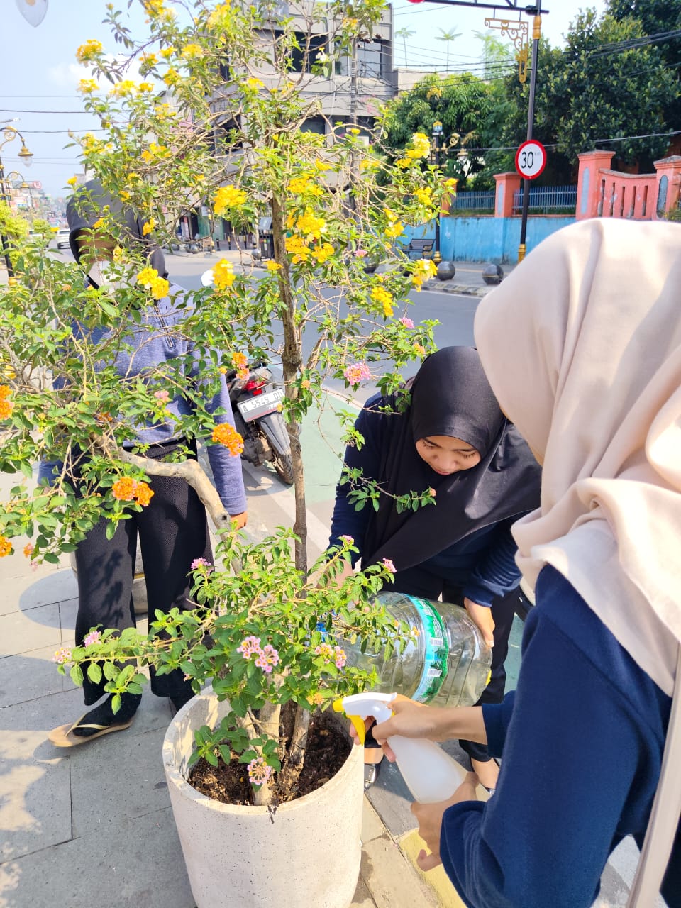 DLH Kota Serang Lakukan Pemupukan Menggunakan Pupuk Organik Cair di Kawasan Royal Baru